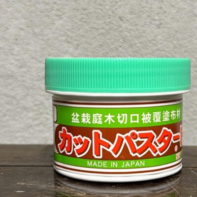 Mastice giapponese tappo verde ideale per conifere