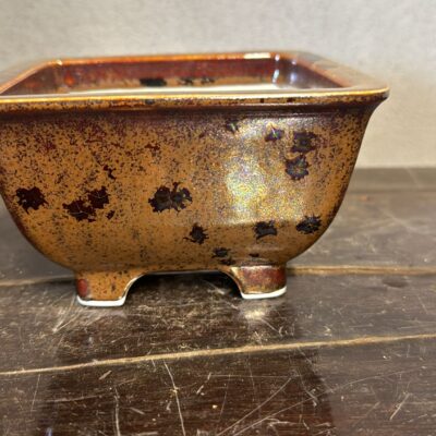 Vaso bonsai Senzan cod.S01 color bronzo