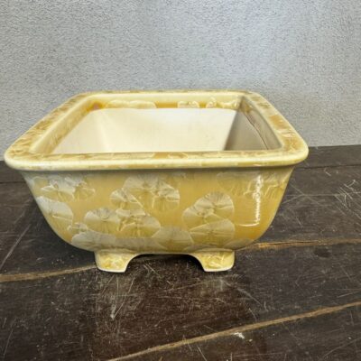 Vaso bonsai Senzan cod.S04 color giallo