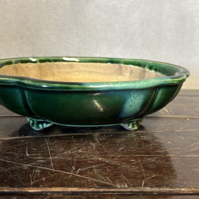 Vaso bonsai Satomi verde  cod.6012
