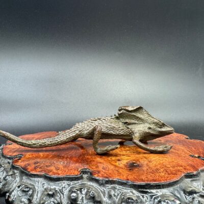 Tempai Iguana