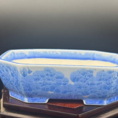 Vaso bonsai Seizan tokoname  16x13x4,5 color azzurro