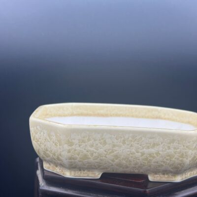 Vaso bonsai Seizan tokoname  16x13x4,5 color crema