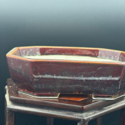 Vaso bonsai Seizan tokoname  16x13x4,5 color rosso scuro