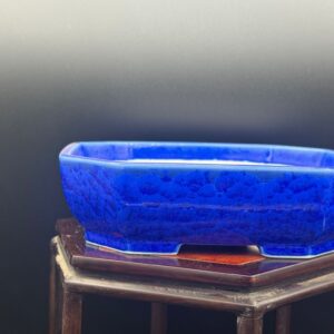 Vaso bonsai Seizan tokoname  16x13x4,5 color blu