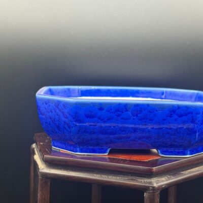 Vaso bonsai Seizan tokoname  16x13x4,5 color blu