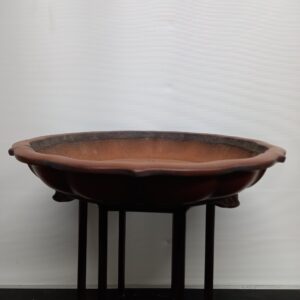 Vaso bonsai Houkidou