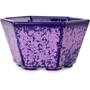 Vaso bonsai Senzan esagonale color blu e viola
